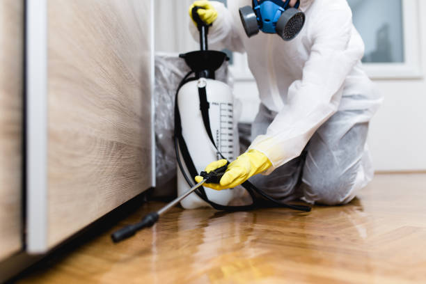 Pest Control Cost in Brooklyn, IA