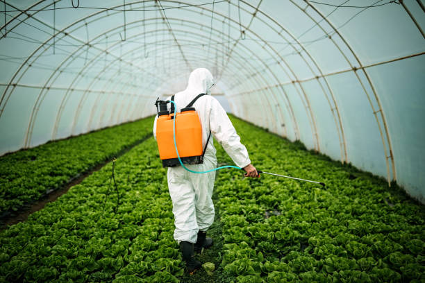 Best Residential Pest Control  in Brooklyn, IA