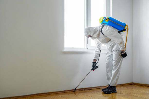Best Pest Inspection Near Me  in Brooklyn, IA