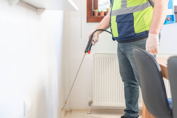 Best Local Pest Control Services  in Brooklyn, IA