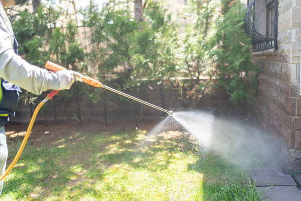 Best Pest Control for Restaurants  in Brooklyn, IA