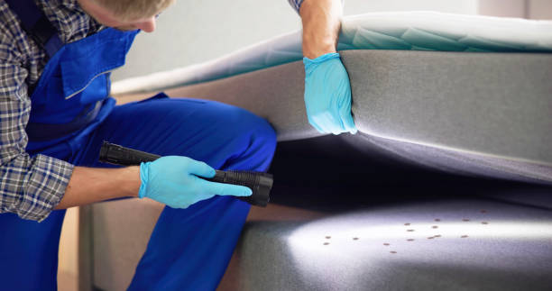 Best Exterminator Services  in Brooklyn, IA