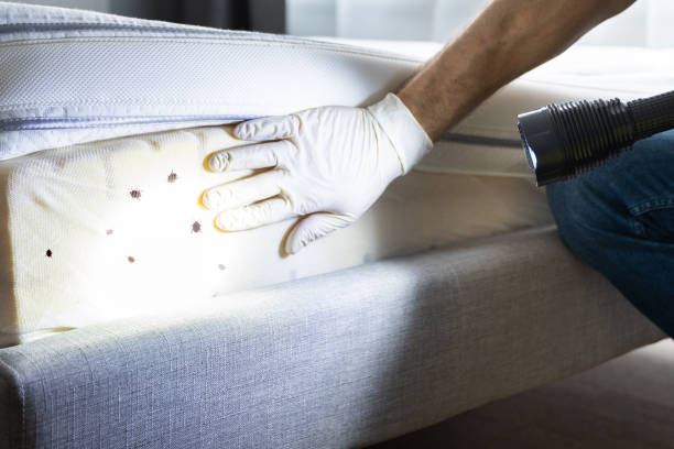  Brooklyn, IA Pest Control Pros