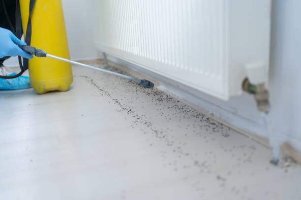 Best Pest Removal Services  in Brooklyn, IA