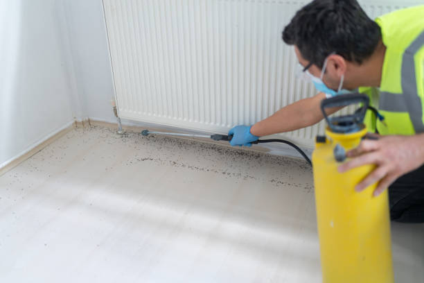 Best Pest Prevention Services  in Brooklyn, IA