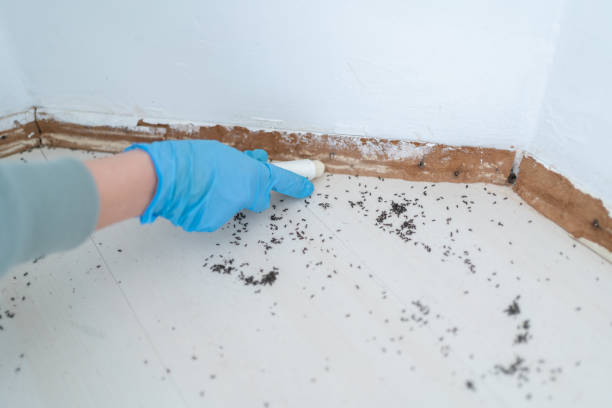 Best Wildlife Control Services  in Brooklyn, IA