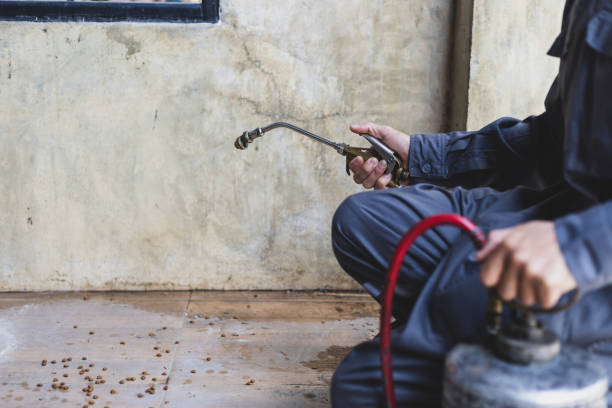 Best Rat Extermination Near Me  in Brooklyn, IA